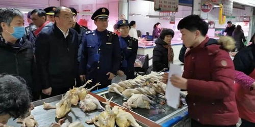 上海開展農貿活禽交易市場疫情防控專項執(zhí)法檢查 保障食用農產品批發(fā)安全